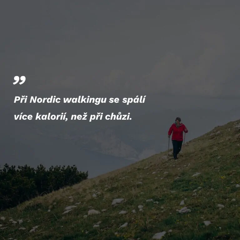 Nordic walking HAAKON